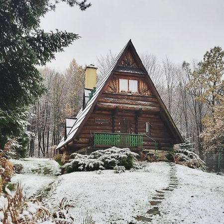 Kosarzowka Villa Белско-Бяла Екстериор снимка