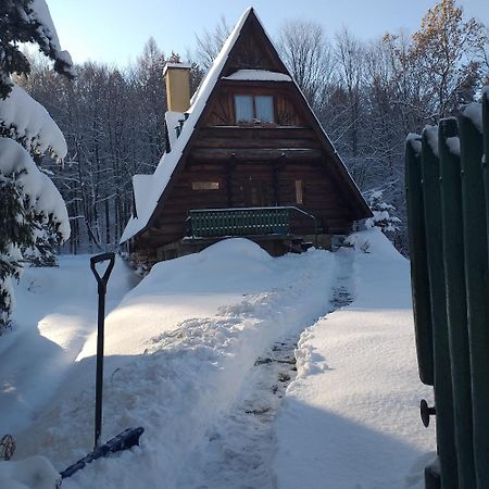 Kosarzowka Villa Белско-Бяла Екстериор снимка