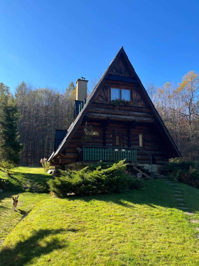 Kosarzowka Villa Белско-Бяла Екстериор снимка